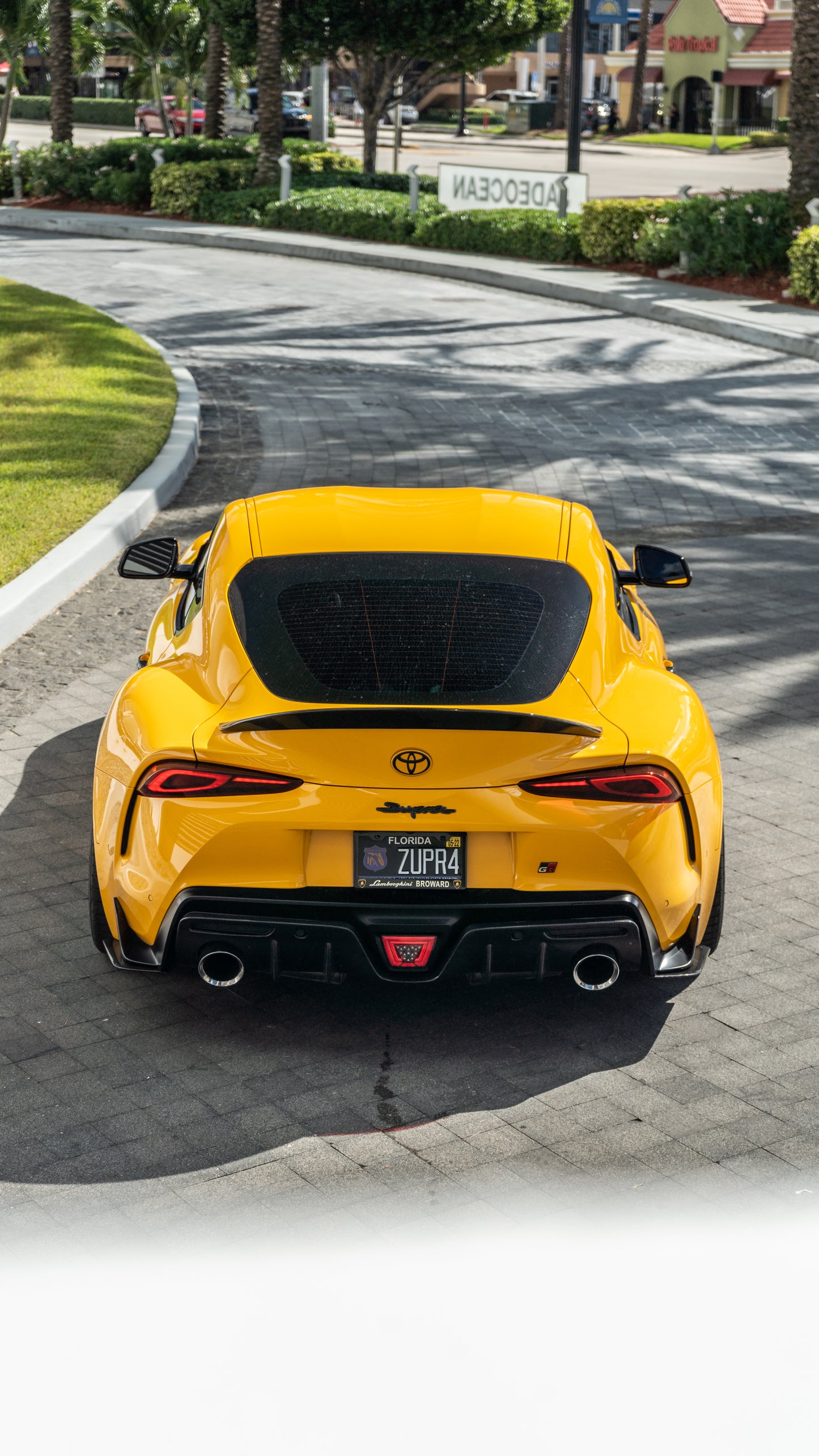 EOS Artisan Style carbon rear ducktail